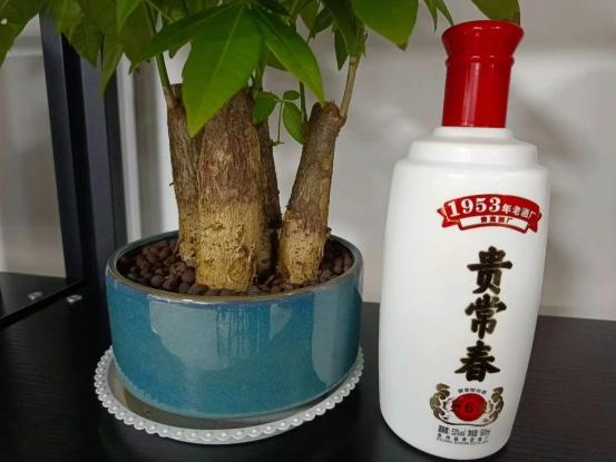 双沟酒珍宝坊多少钱一箱,双沟珍宝坊酒质怎么样