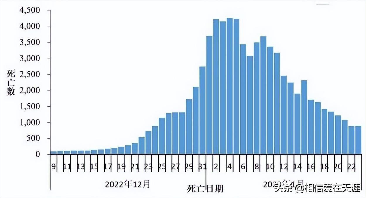 疫情放开死亡人数最新消息