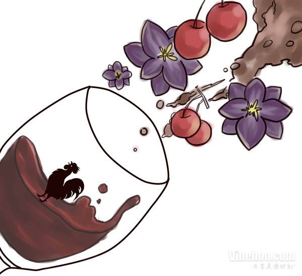 雄鸡公爵干红葡萄酒怎么样(这是什么红酒,瓶多少钱)