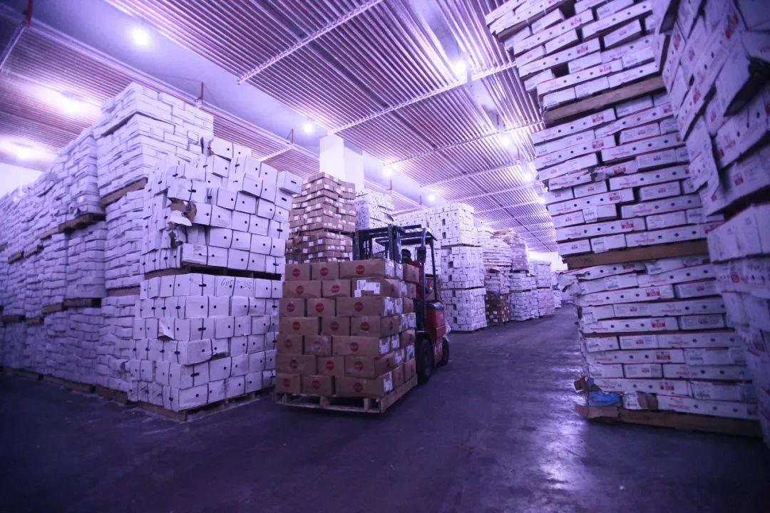 疫情最新消息今天封城了吗