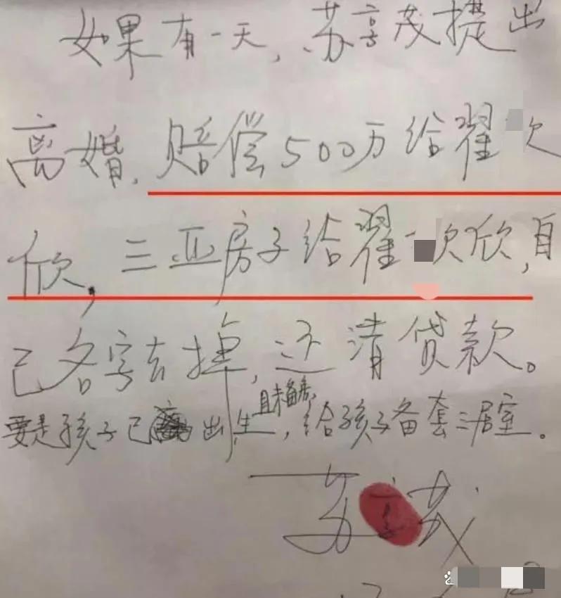 “索要千万逼死老公案”5年后宣判,妻子翟欣欣退还男方上千万财产