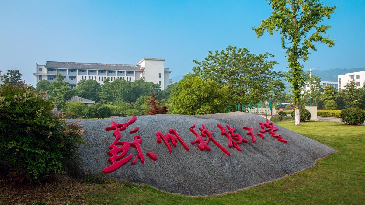 苏科大就凌晨发布待录取通知致歉,要求半小时确认太离谱