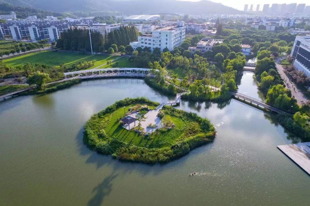 苏科大就凌晨发布待录取通知致歉,要求半小时确认太离谱