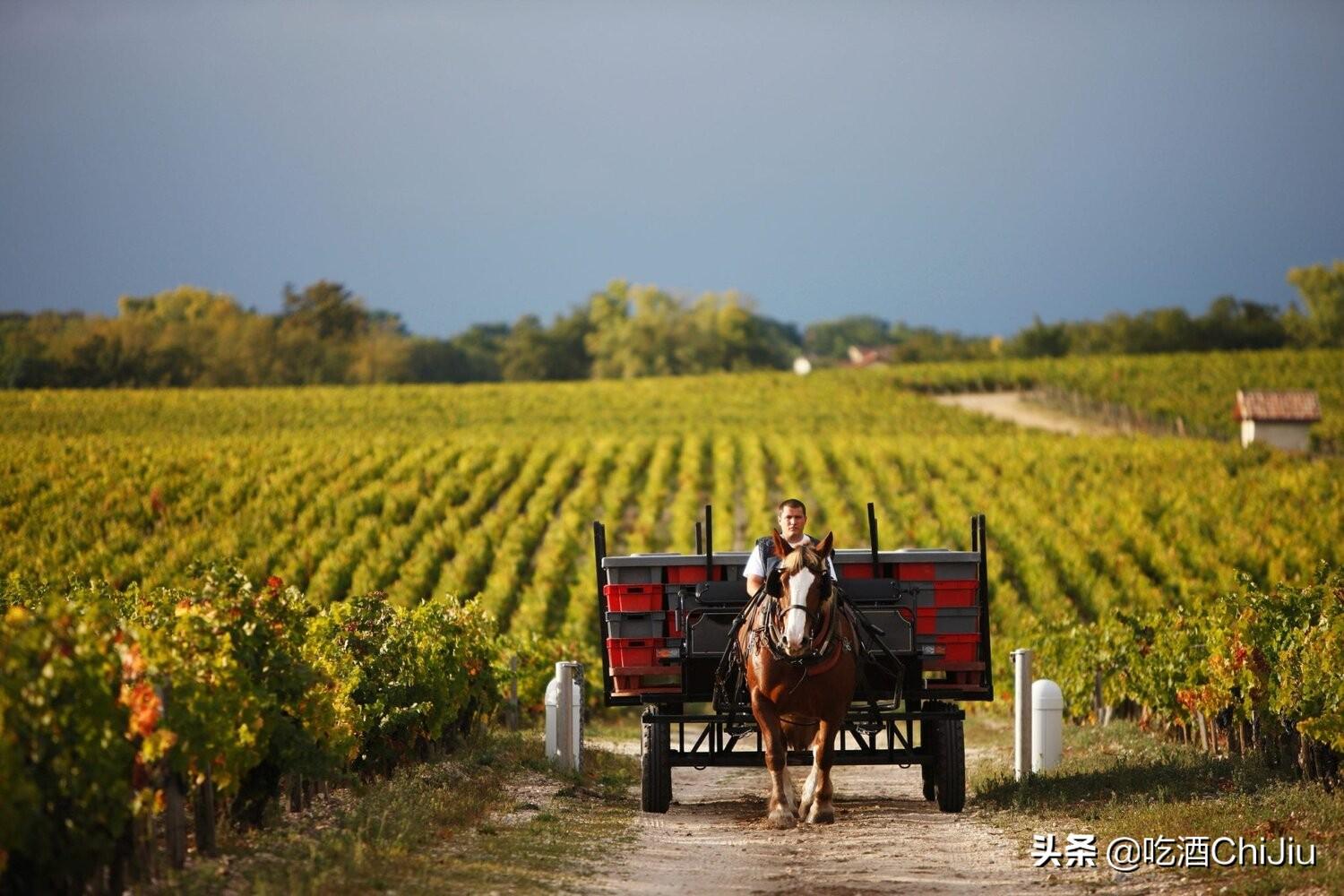 拉菲干邑六十年价格 拉菲干红2006年多少钱一瓶