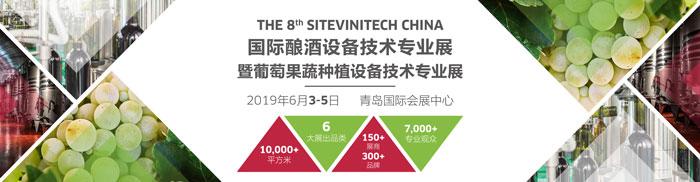 河套十年老窖酒什么价位 十年河套酒价格表