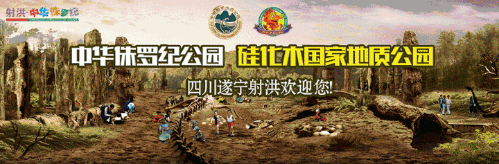 毕节盛世金樽电话号码 毕节盛世金樽娱乐会所怎么样