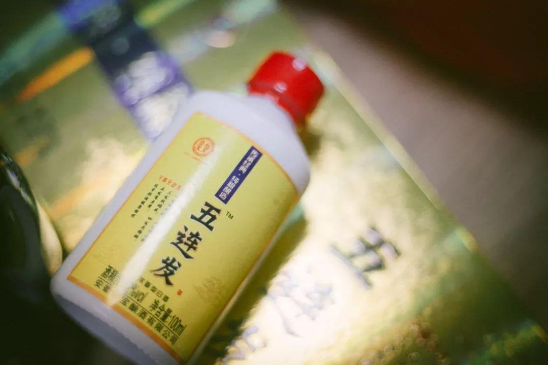 42度双沟贵宾多少钱 双沟贵宾42度价格